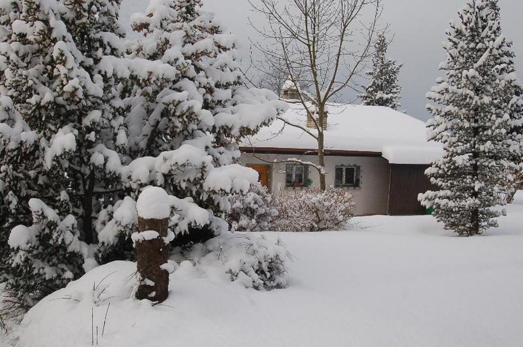 Apartmán Chalet Sonnenblick Brienz  Pokoj fotografie
